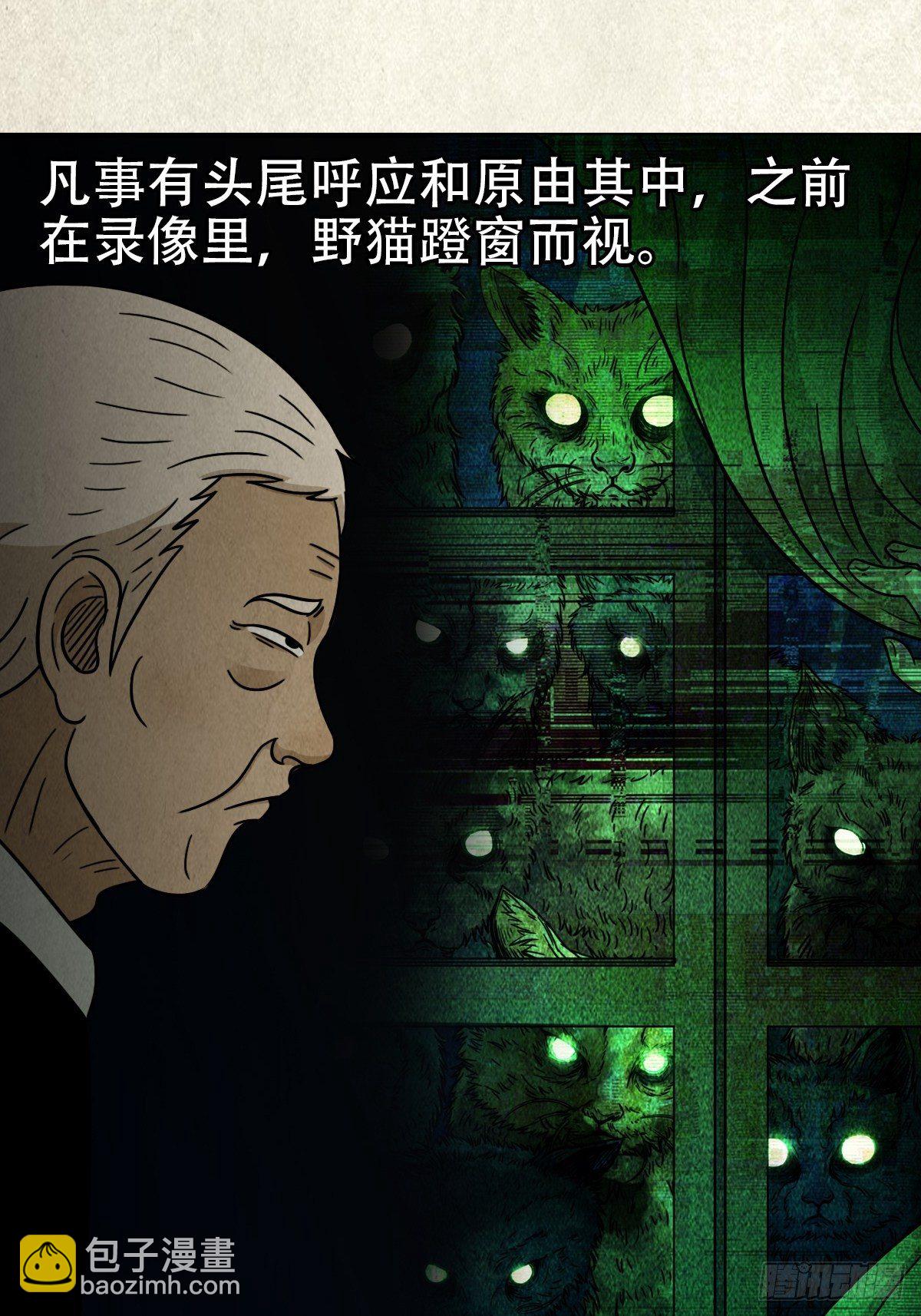 埋猫狗（下）74