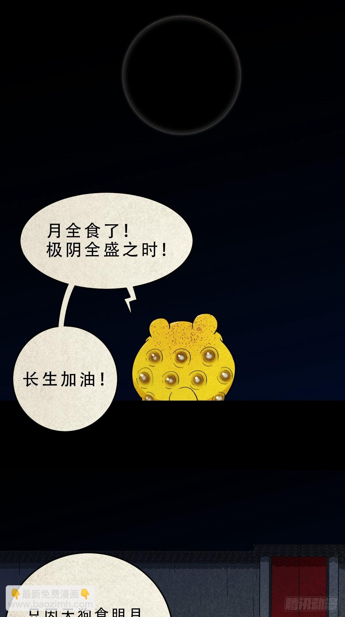 月食之钱37