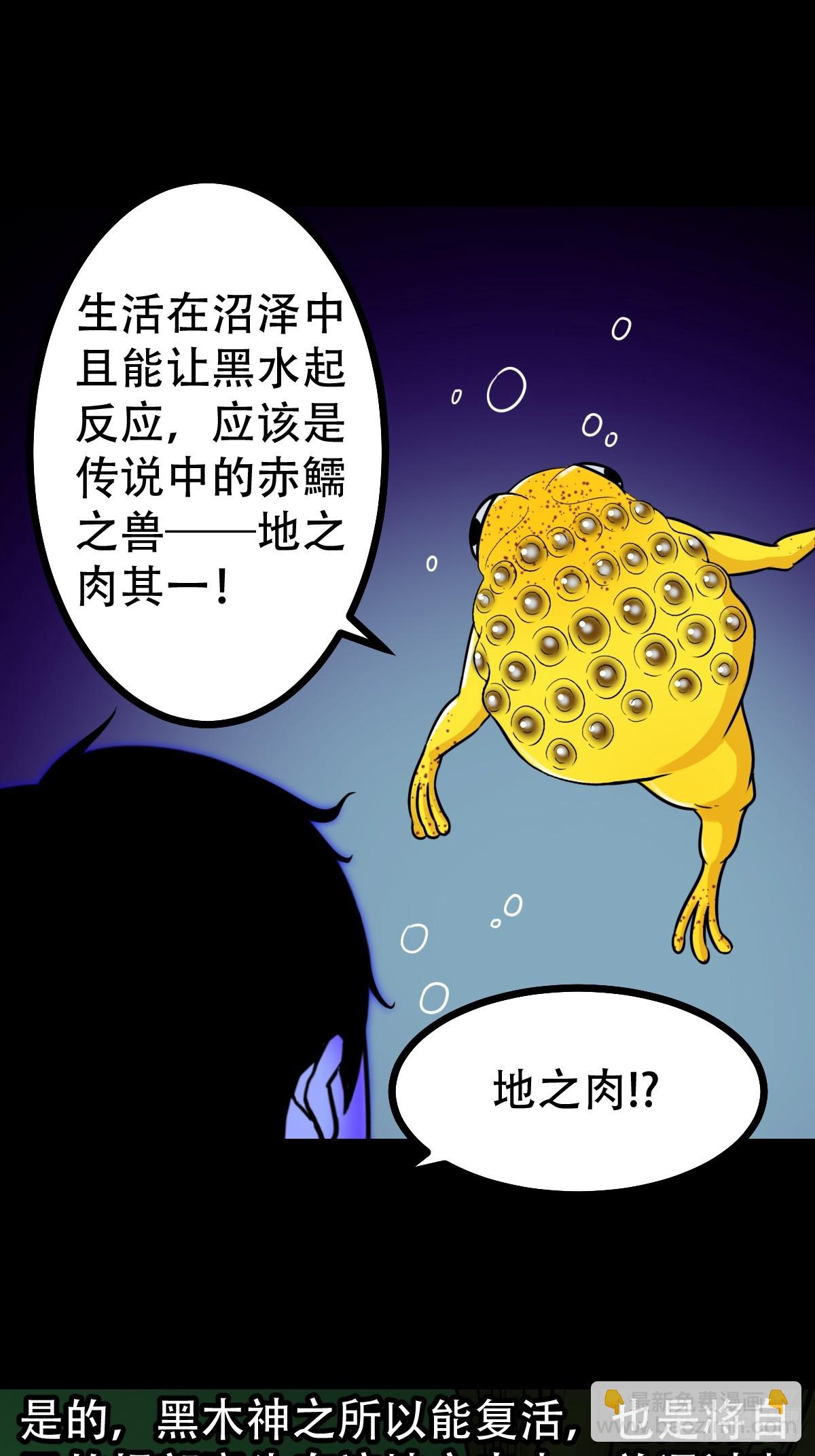 地之肉28