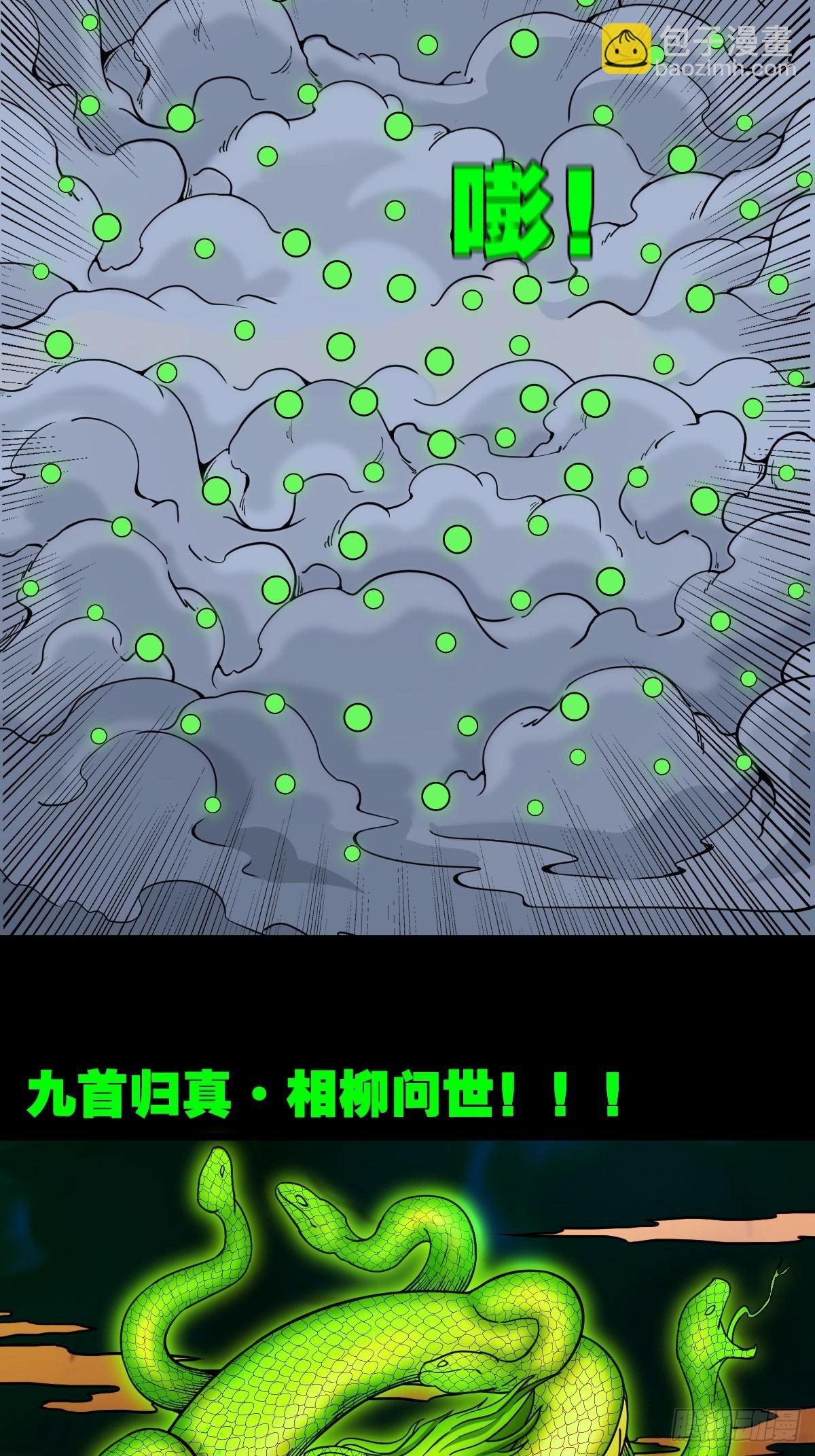 九首相柳14