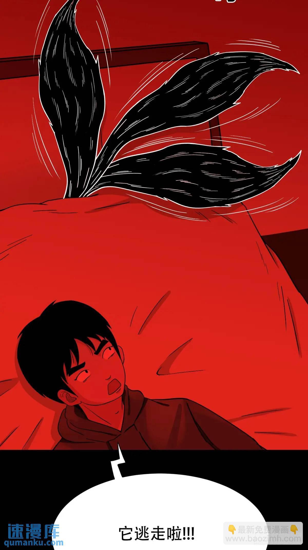 供牌32