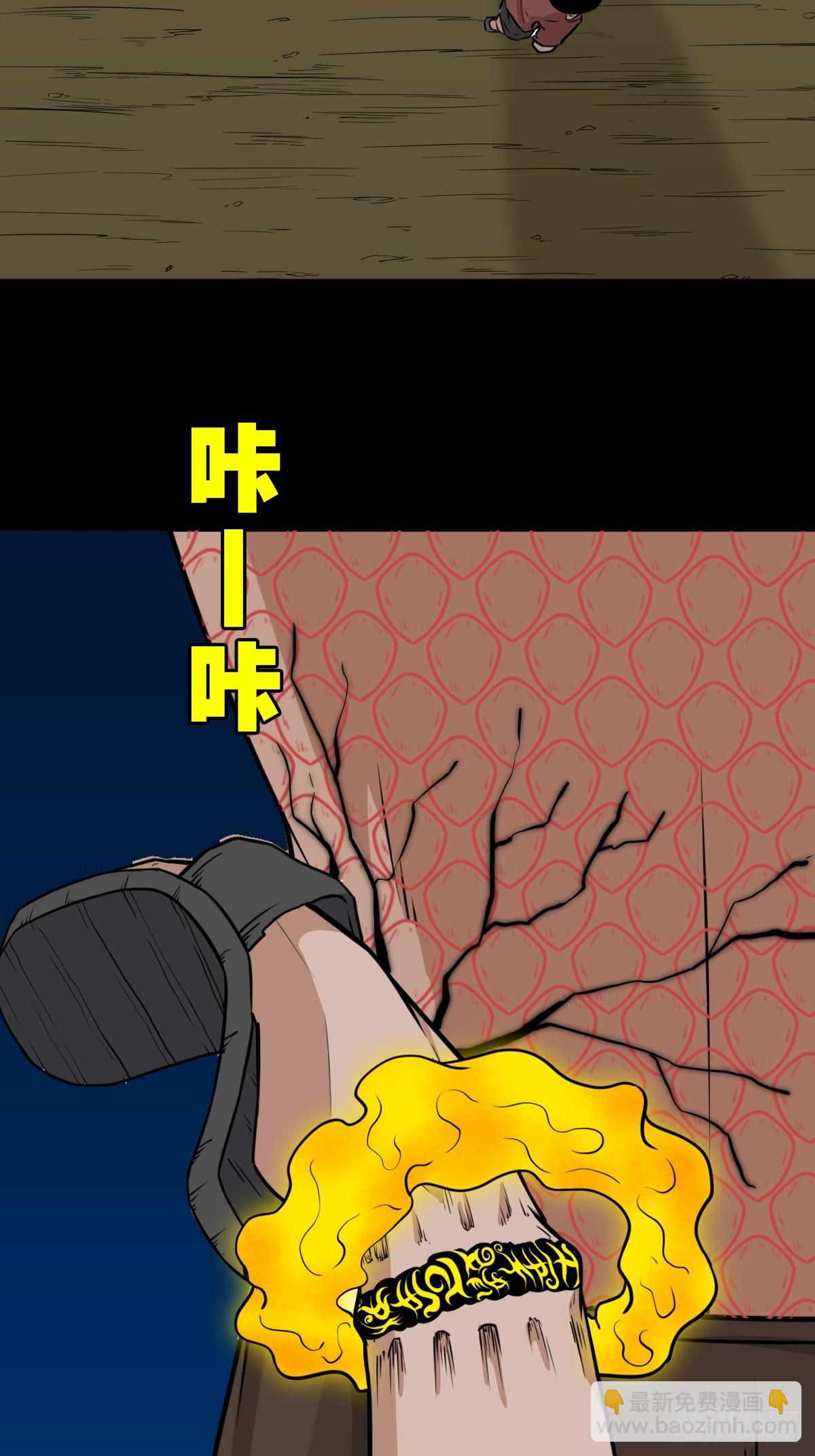 金云照18