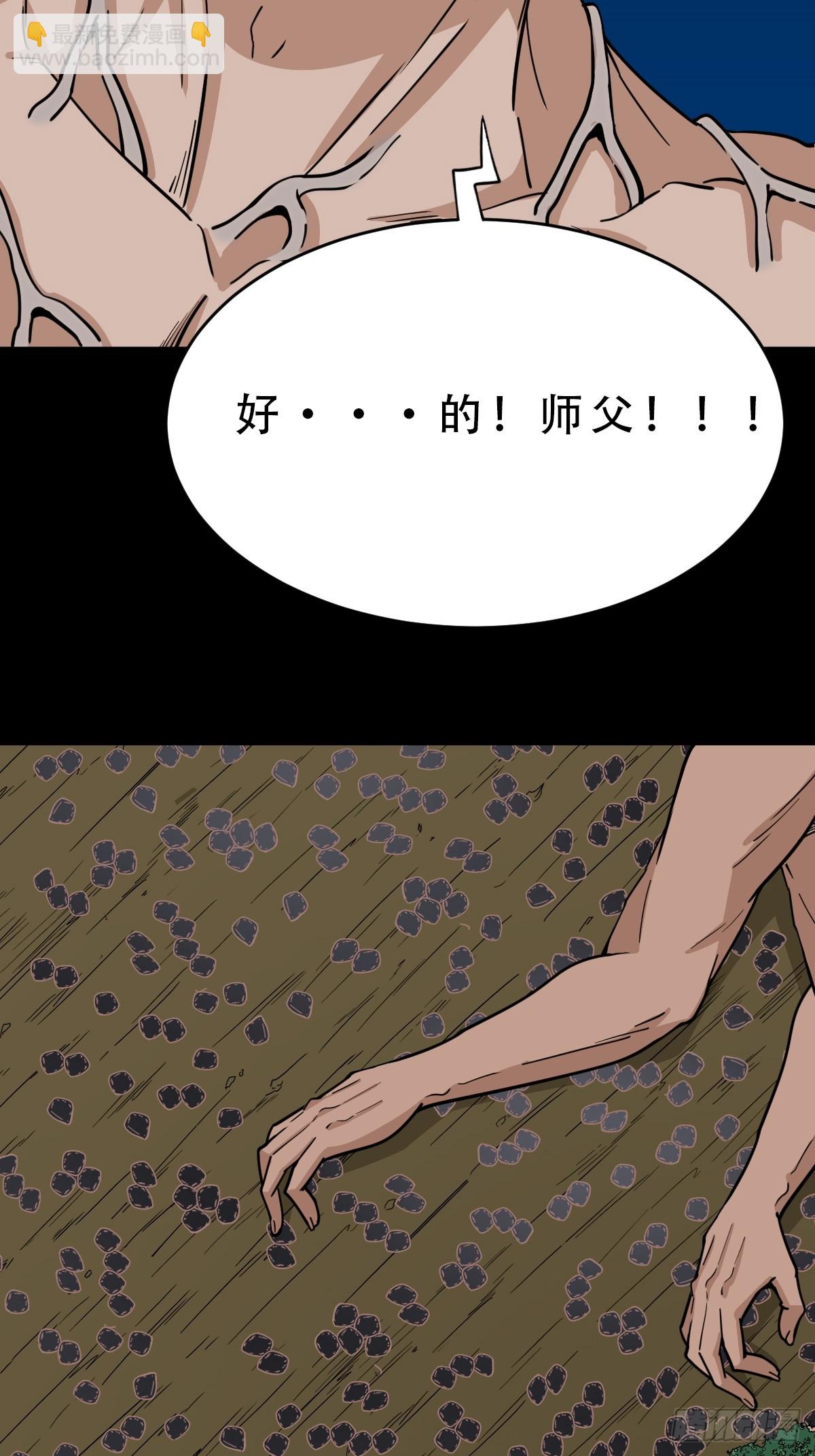 金云照31