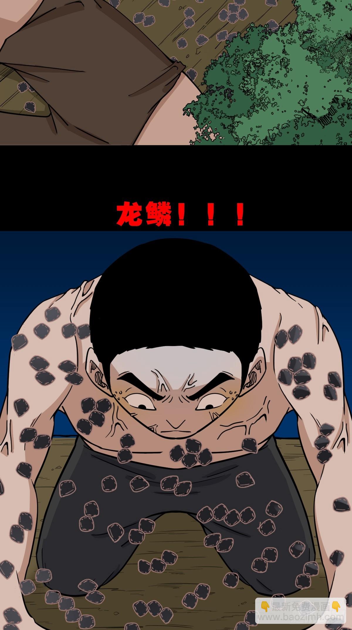 金云照33