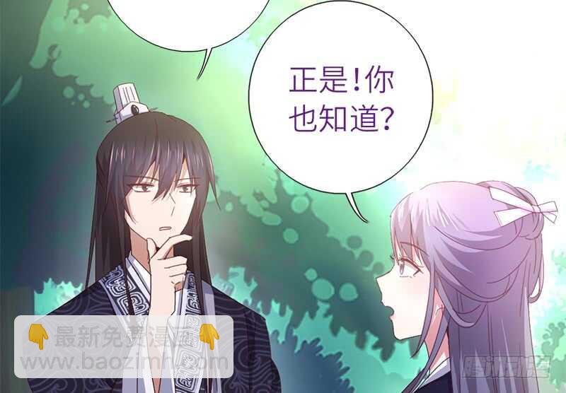 第30话 美人计5