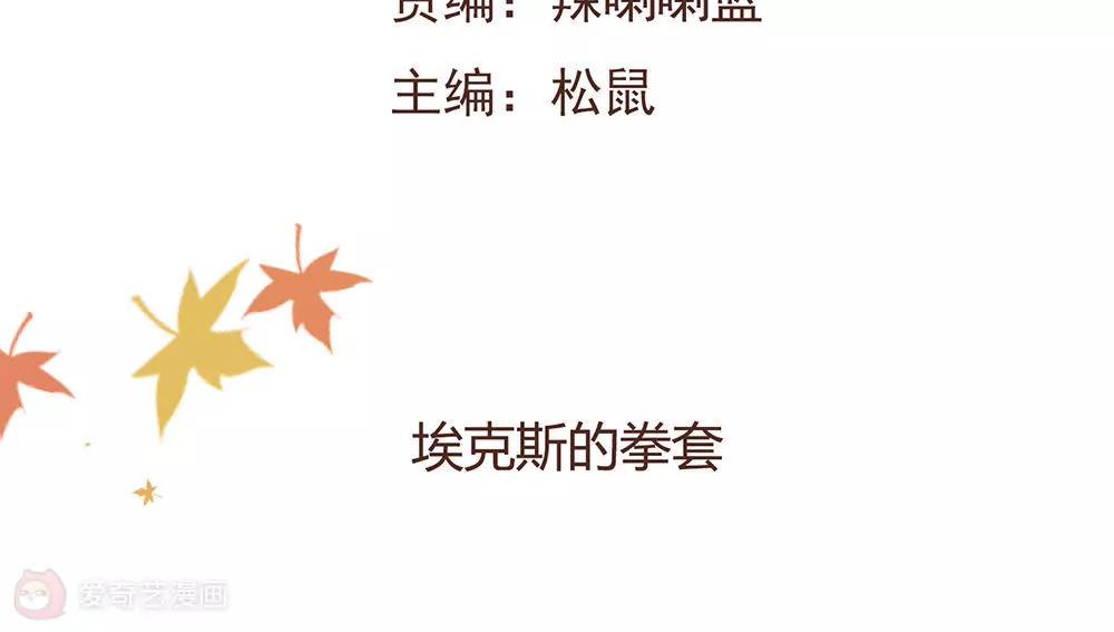 第19话  埃克斯的拳套1