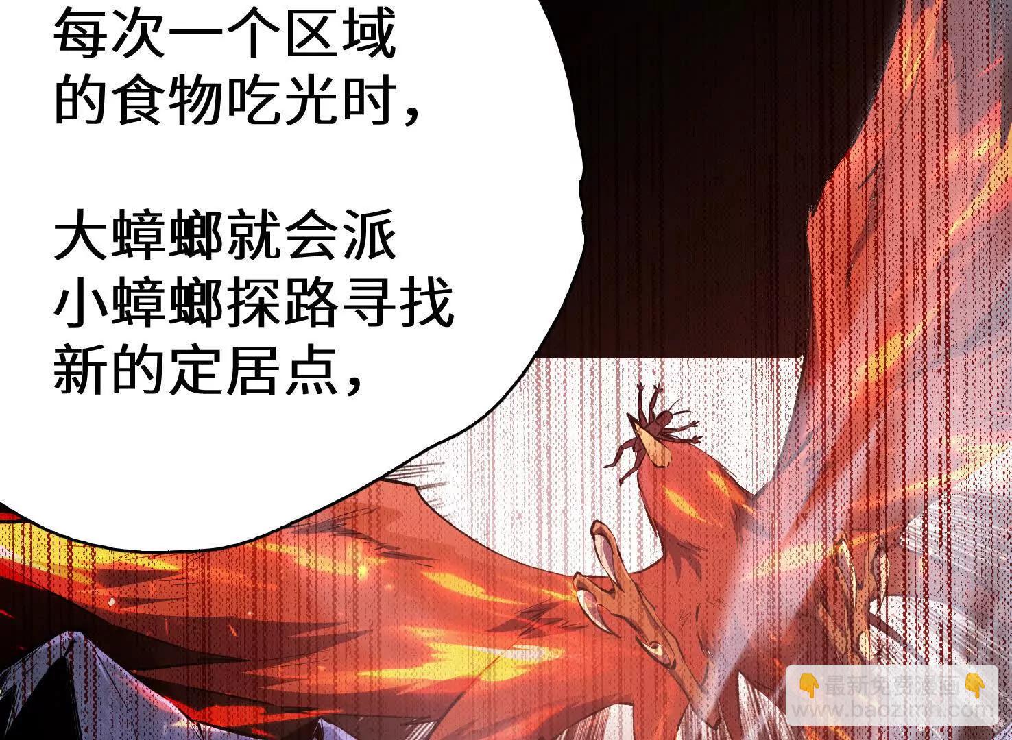 弱肉强食的世界126