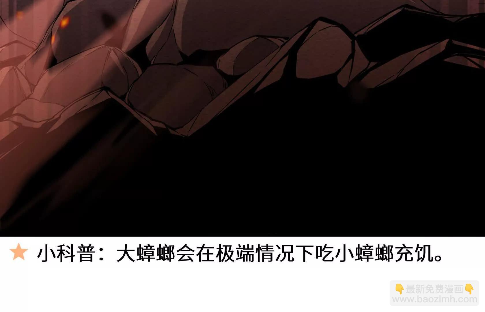 弱肉强食的世界168
