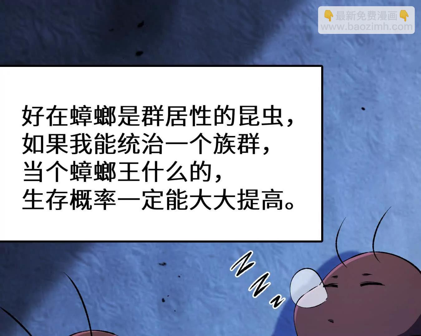 弱肉强食的世界69