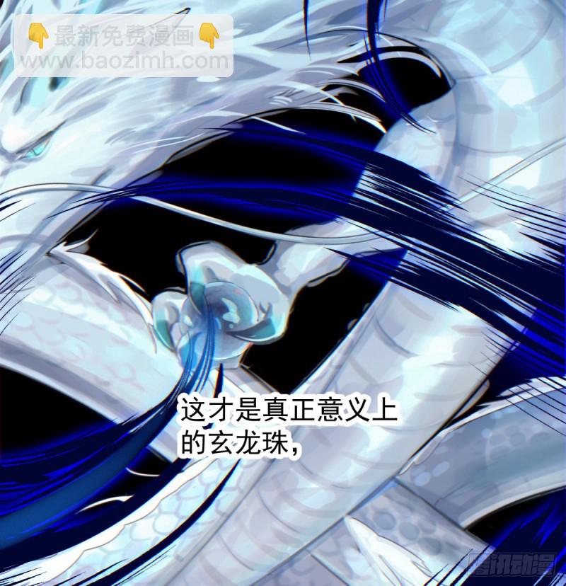 第133话 玄龙珠8