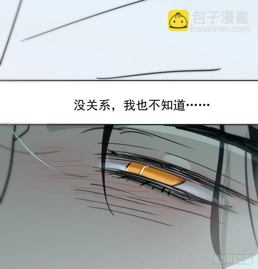后篇1     深入了解（1）87