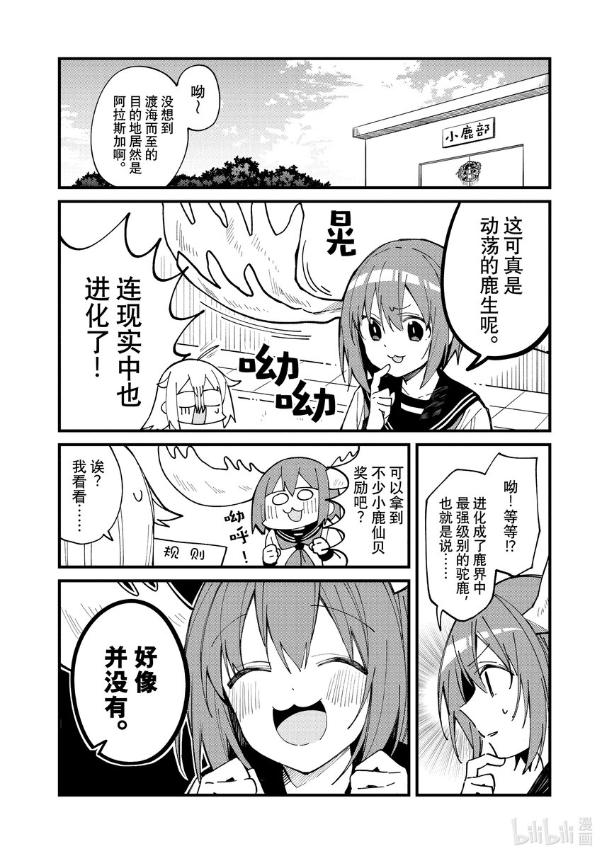 14 各自的鹿生2