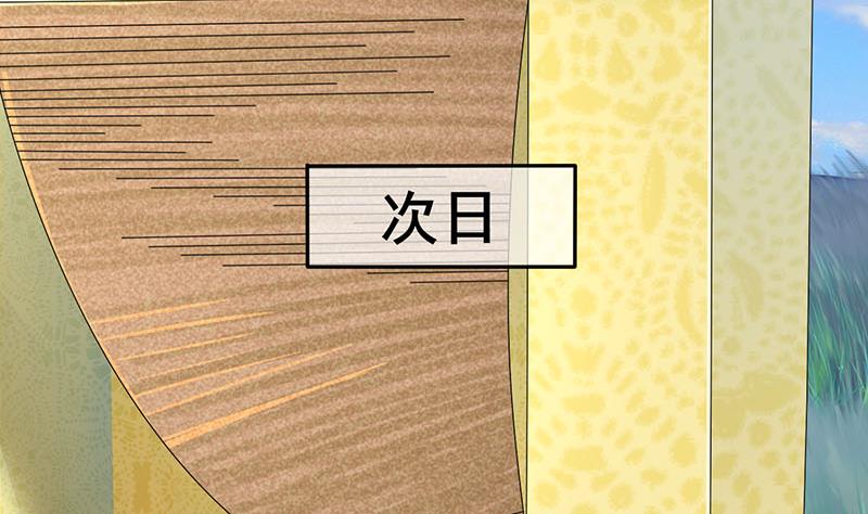 第三季 第256话 魏国夫人34