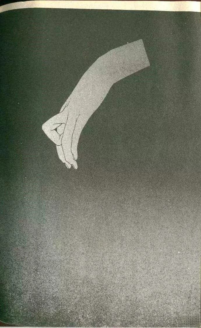 第5卷206