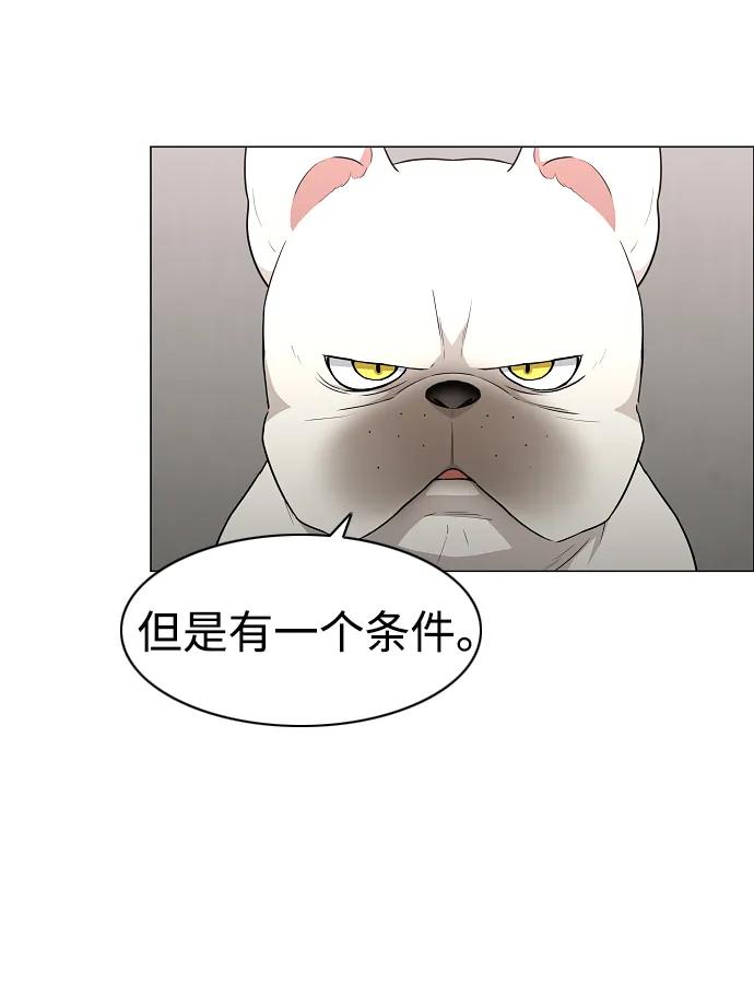 第38话 辗转反侧40
