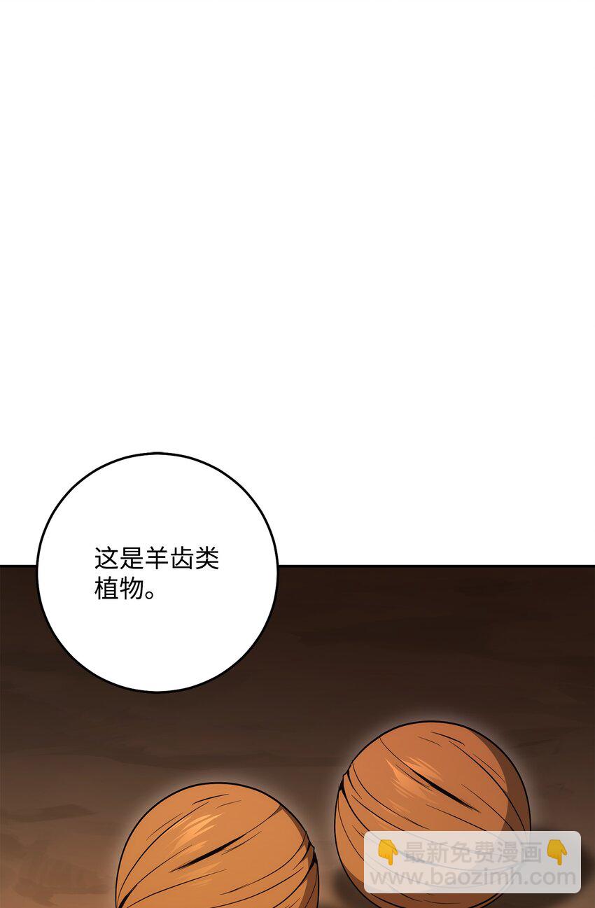 191 熔岩地带106