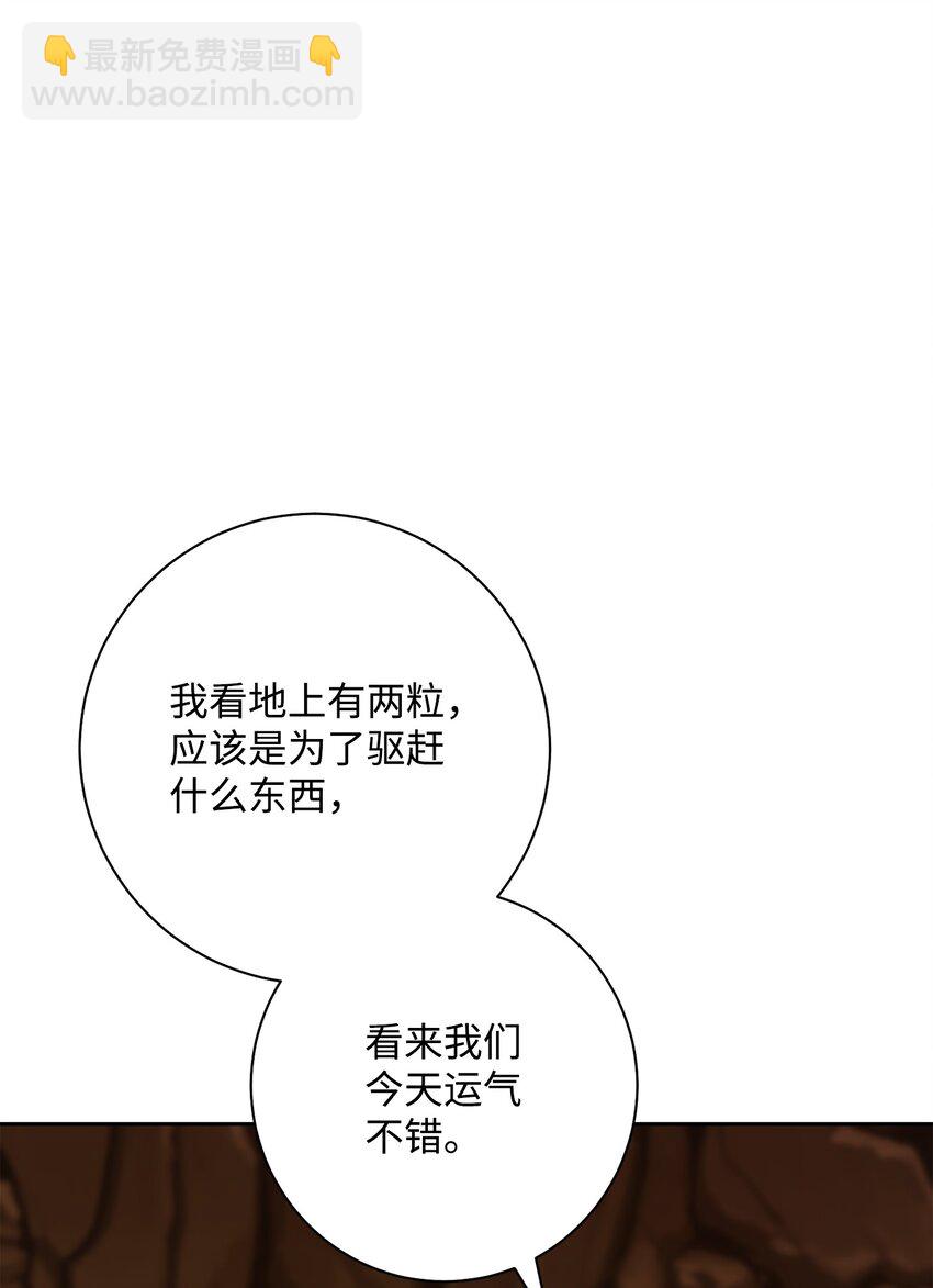 191 熔岩地带110