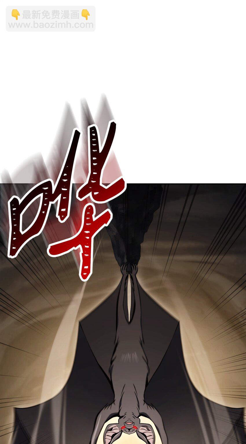 223 诺佩尔与蝙蝠35