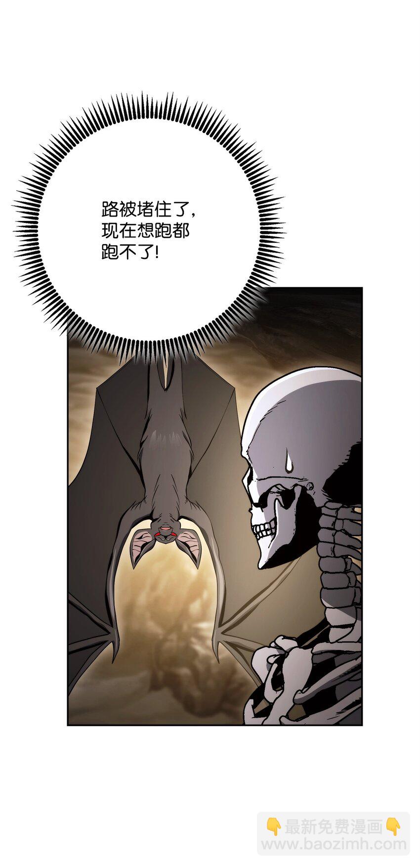 223 诺佩尔与蝙蝠37