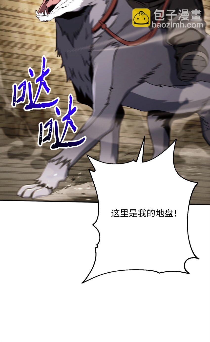 223 诺佩尔与蝙蝠41