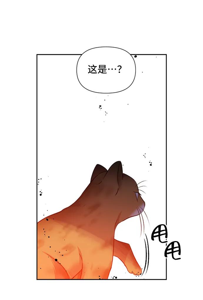 第54话36