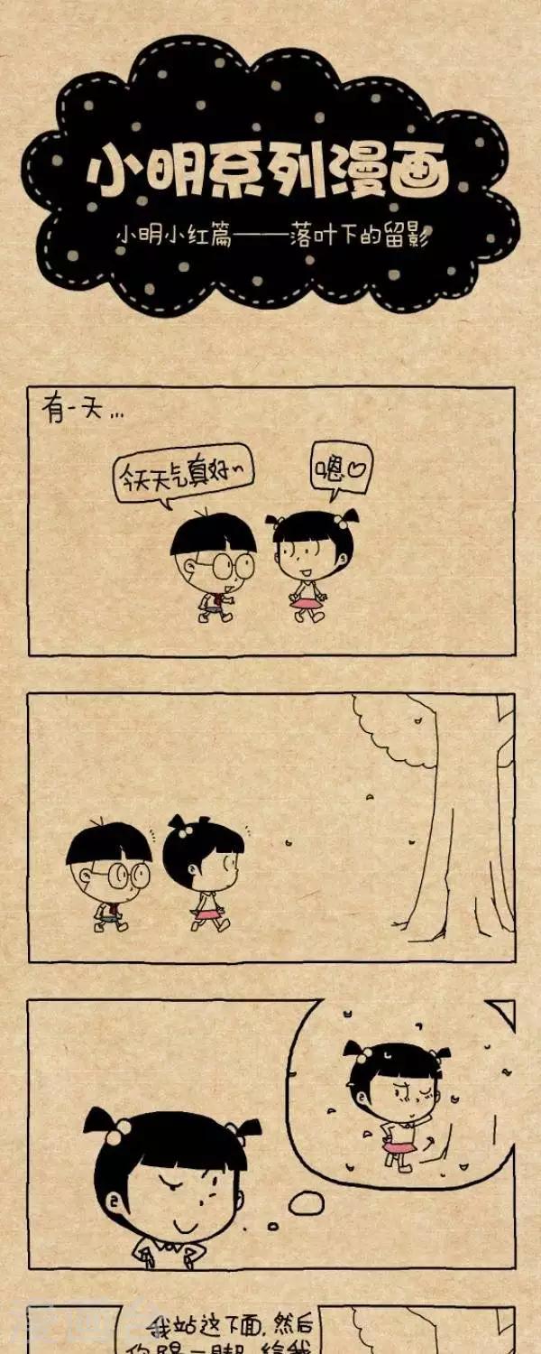 第278话  落叶下的留影0