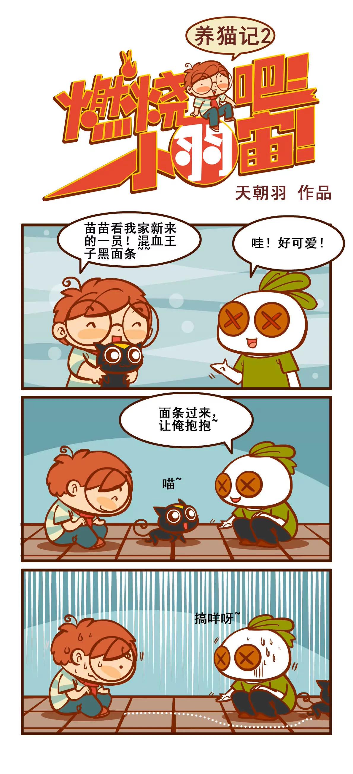 养猫记20