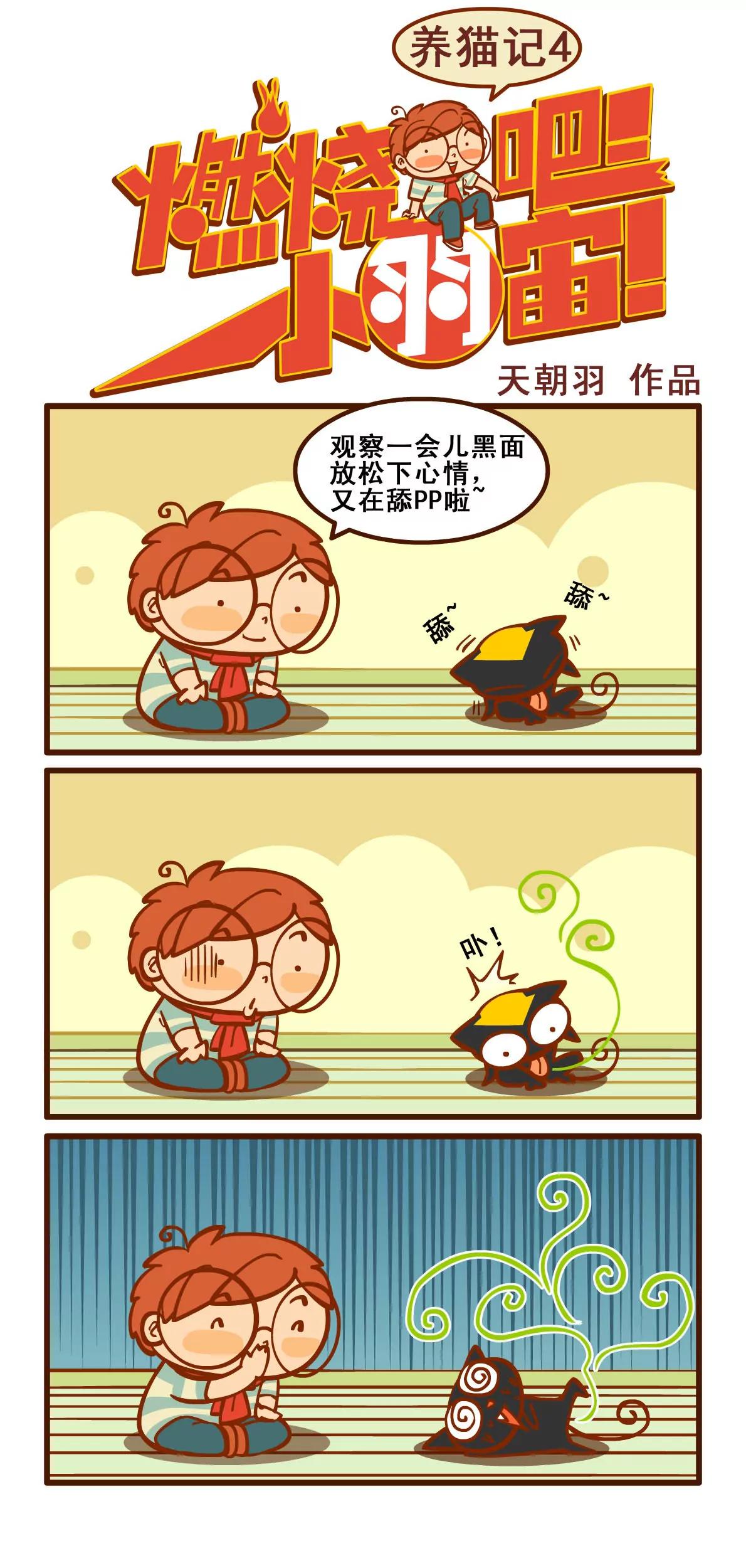 养猫记40