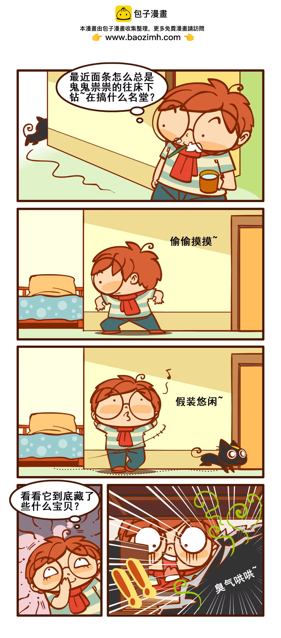 养猫记41
