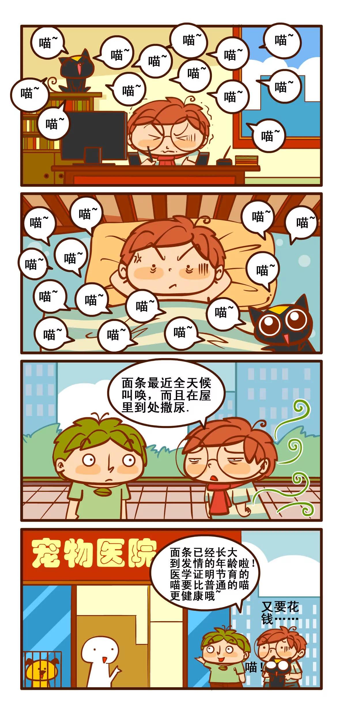 养猫记44