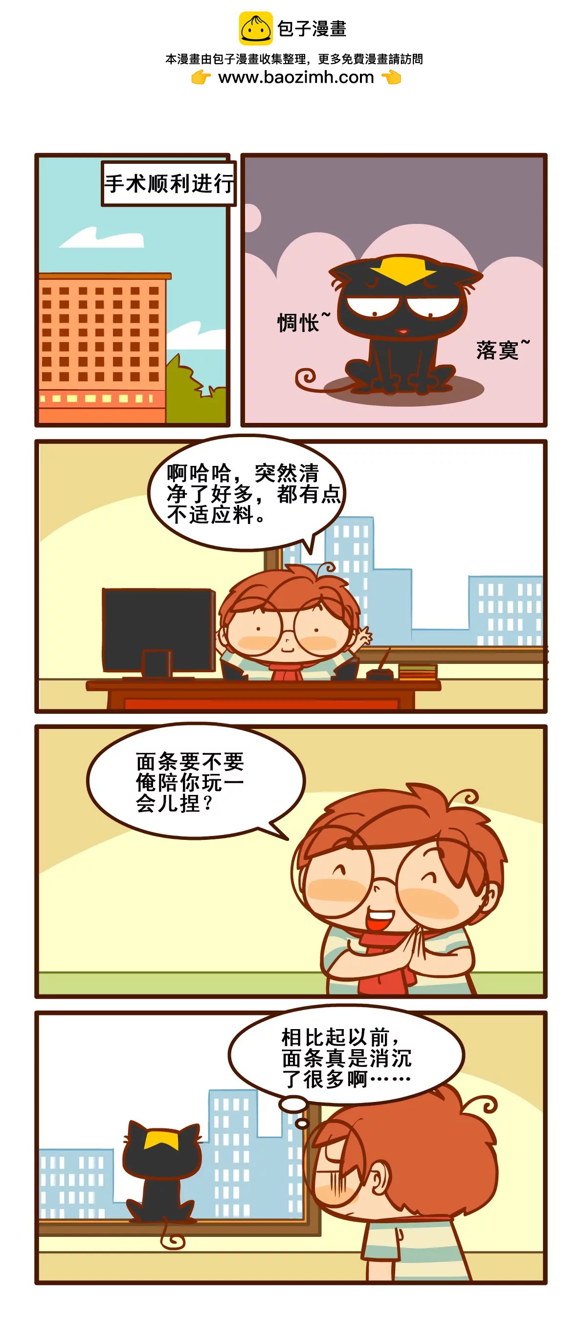 养猫记45