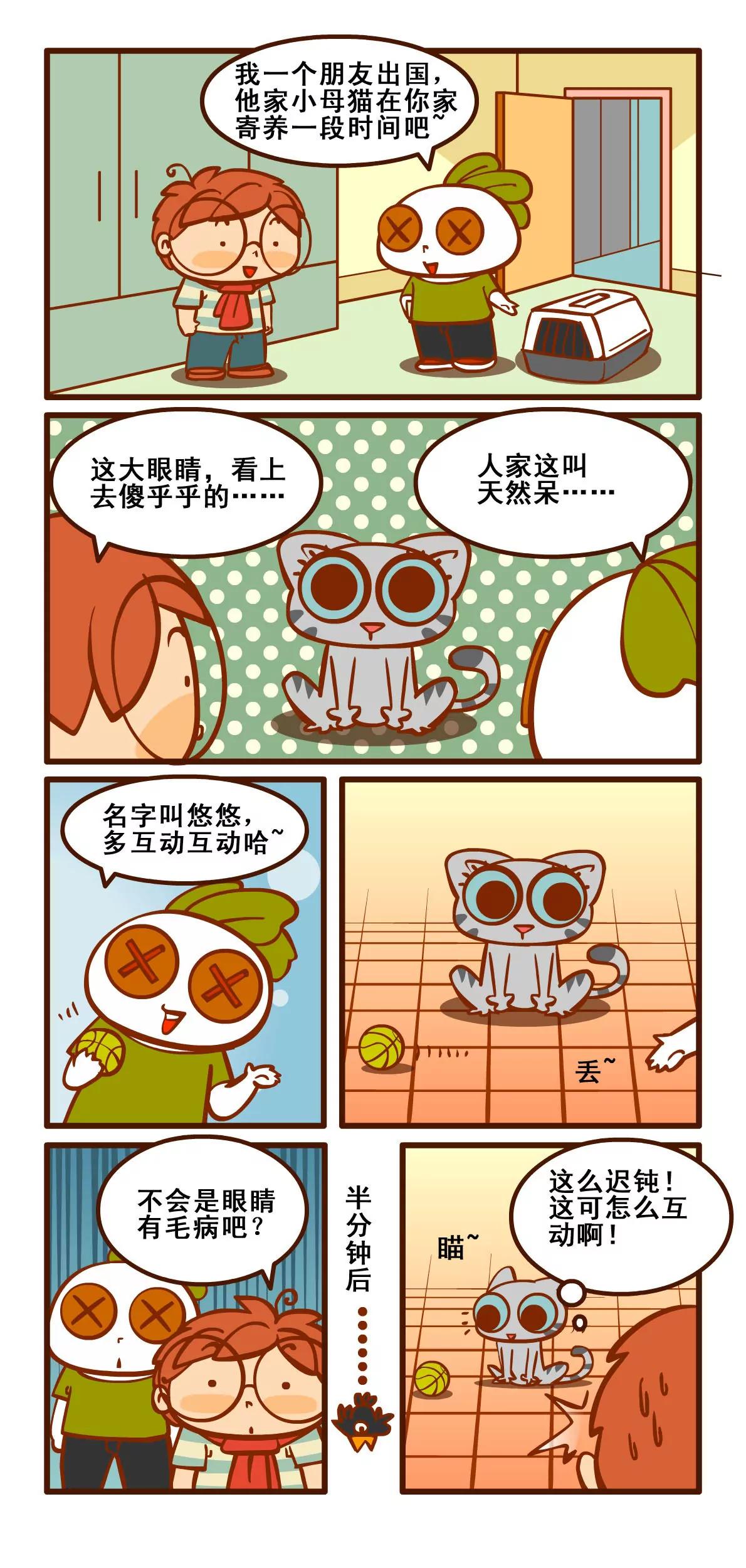 养猫记46
