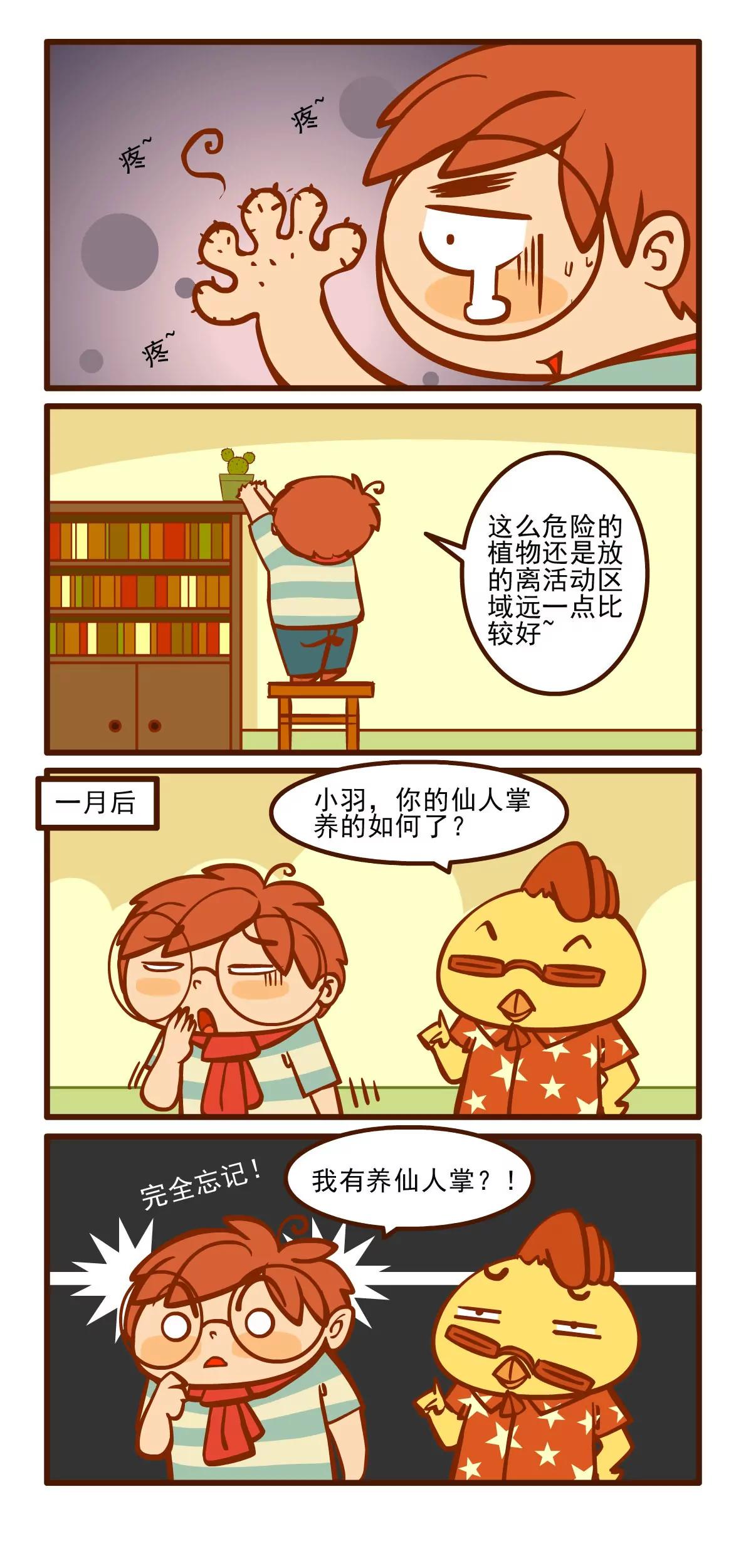养花记4