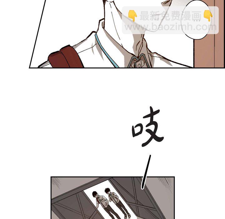 4617