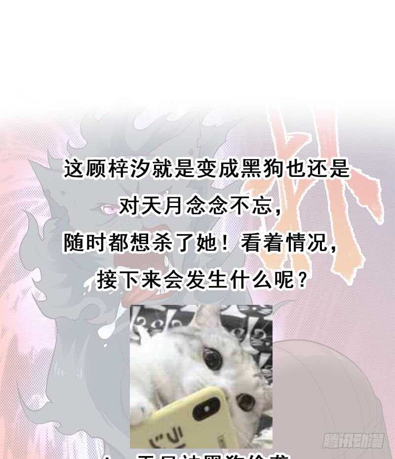 第261话 说服顾梓汐56