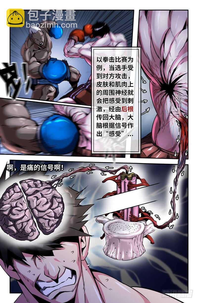 神经系统2