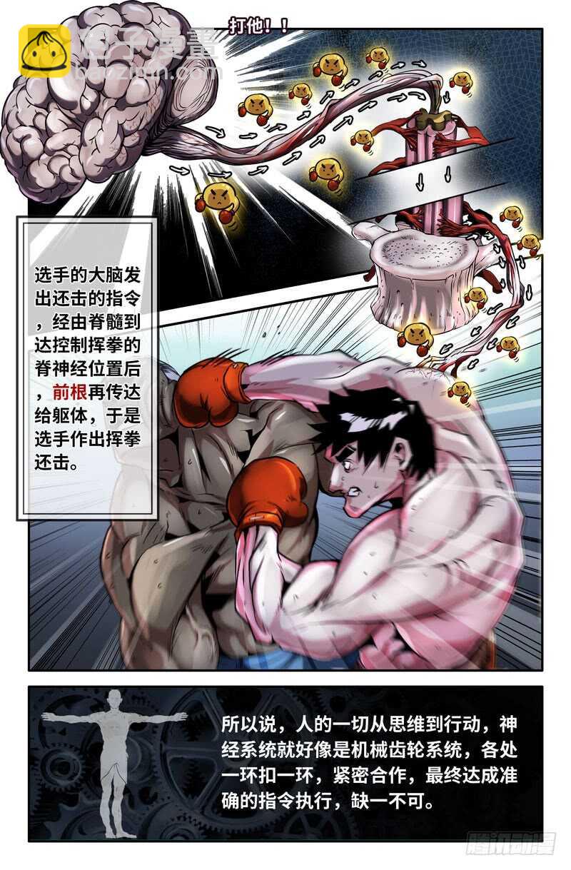 神经系统3