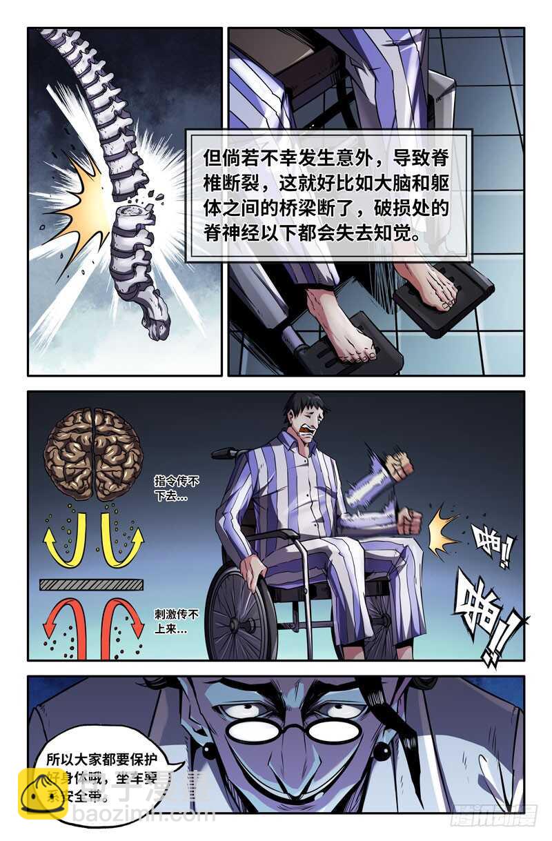 神经系统4