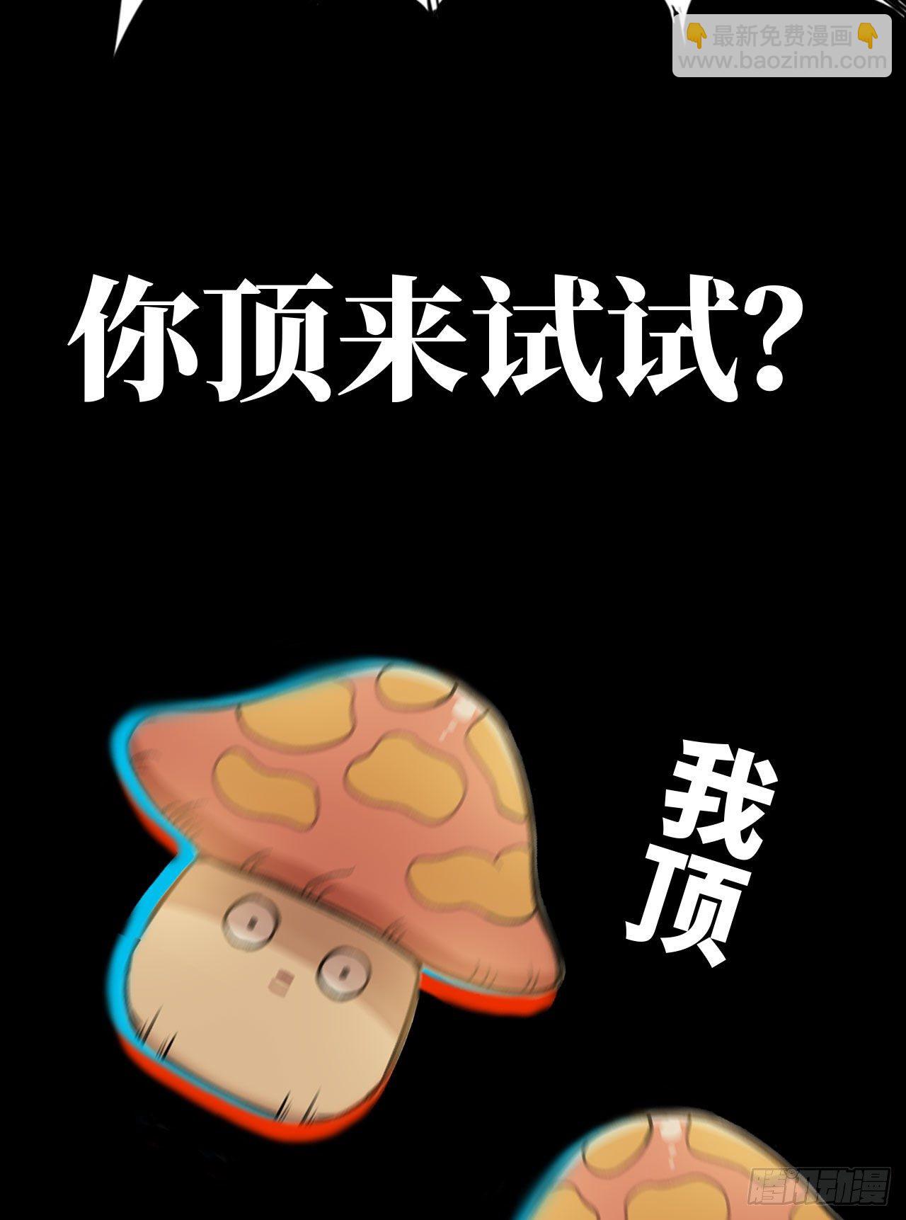 新作推荐19