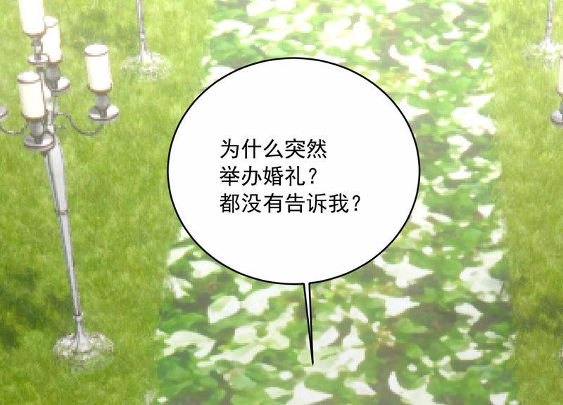 第200话 誓言28