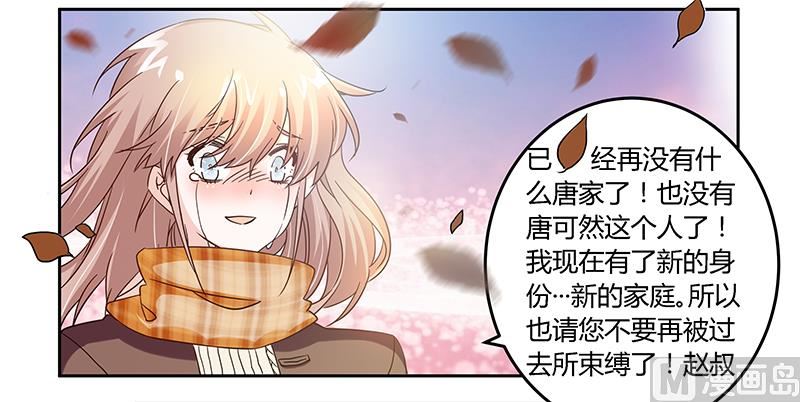 第40话 尘封的往事17