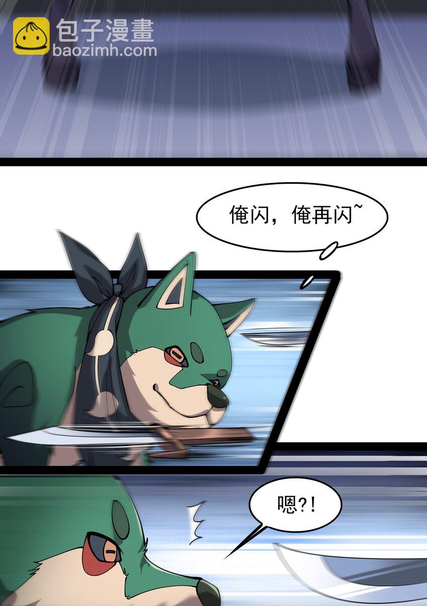 016 狗？蛤？傻傻分不清楚11