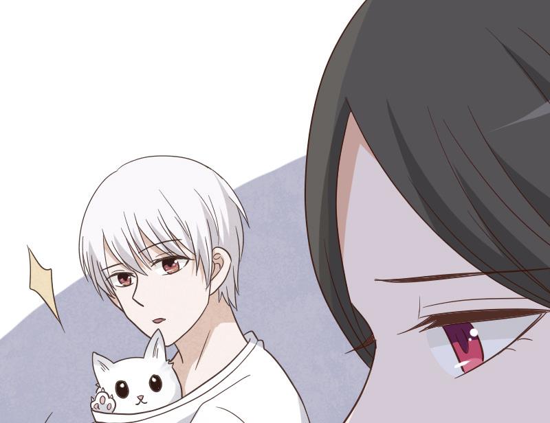 第236话 能给她幸福的人只有我49