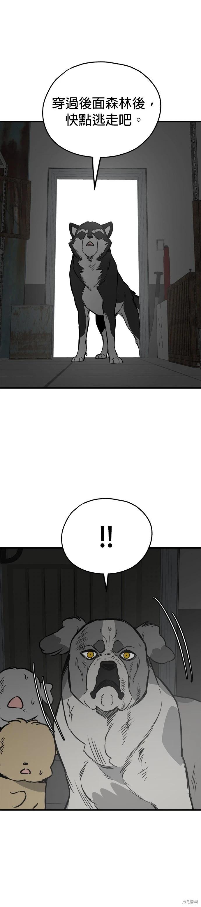 第68话24