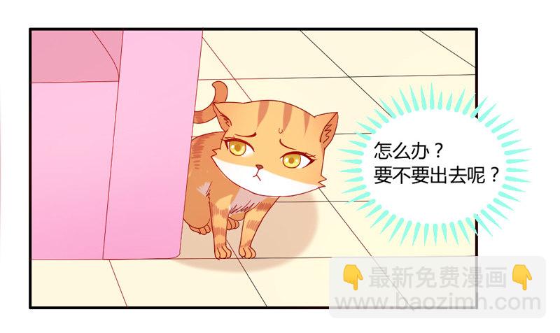 十个橘猫九个胖18