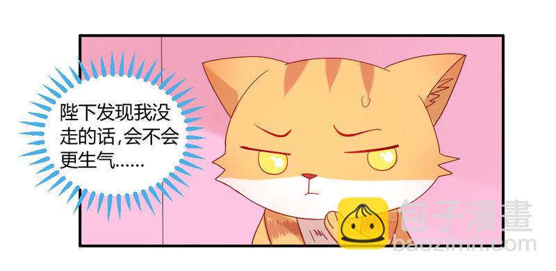 十个橘猫九个胖19