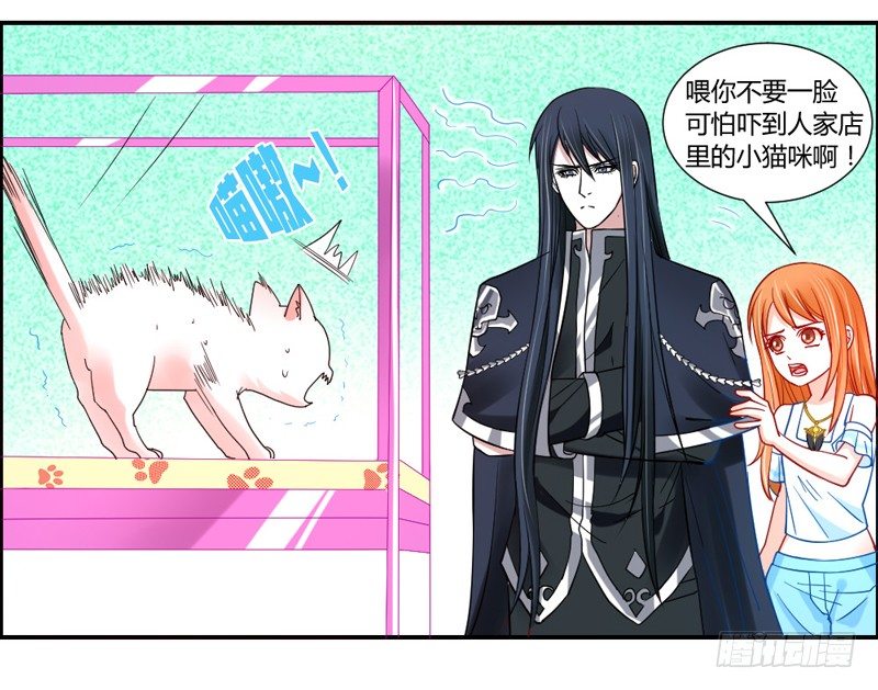 十个橘猫九个胖2