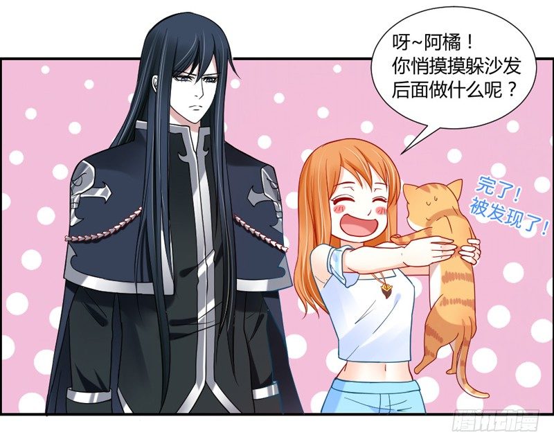 十个橘猫九个胖21