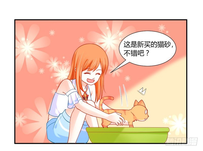十个橘猫九个胖32
