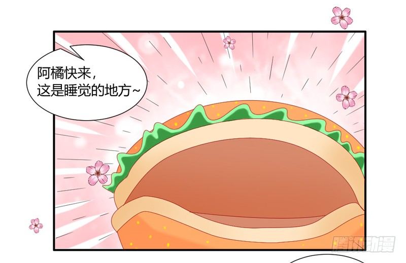 十个橘猫九个胖35